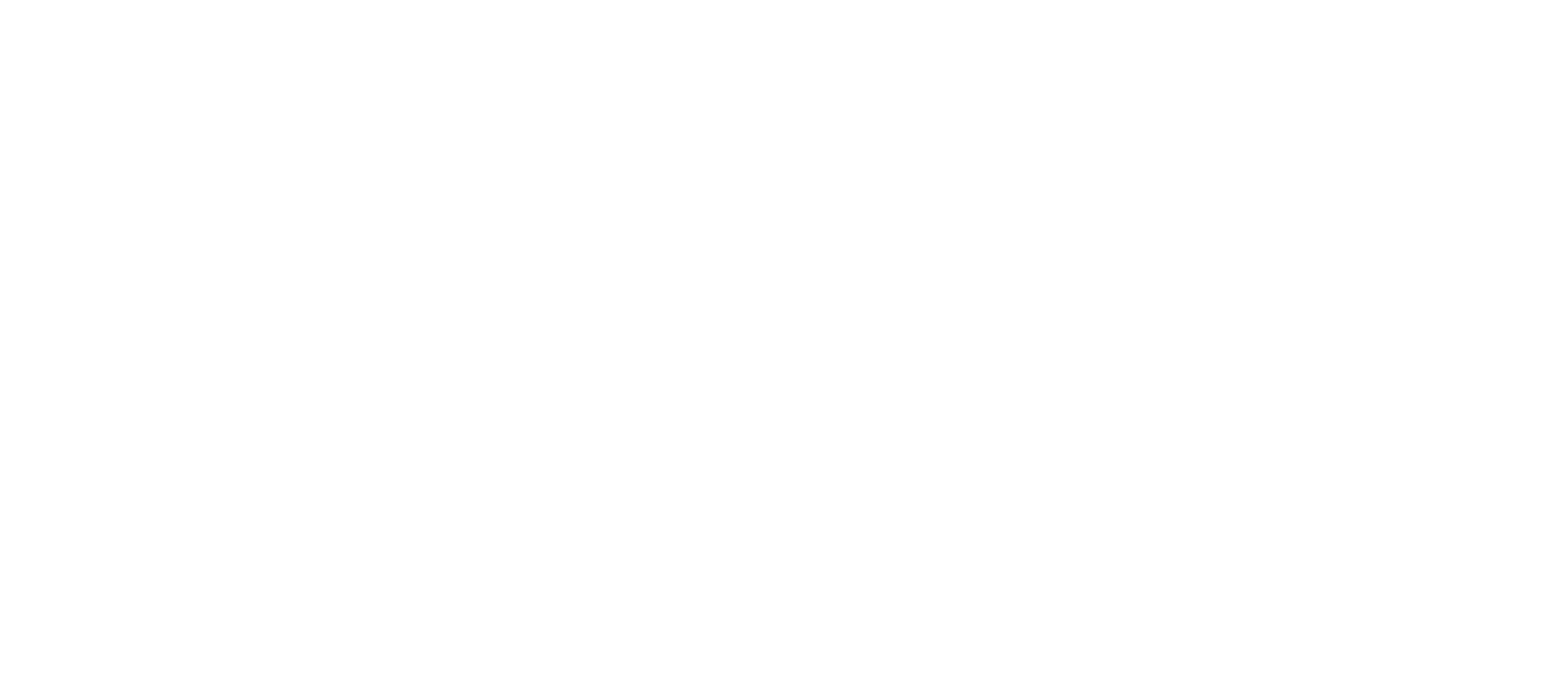 DSStudio