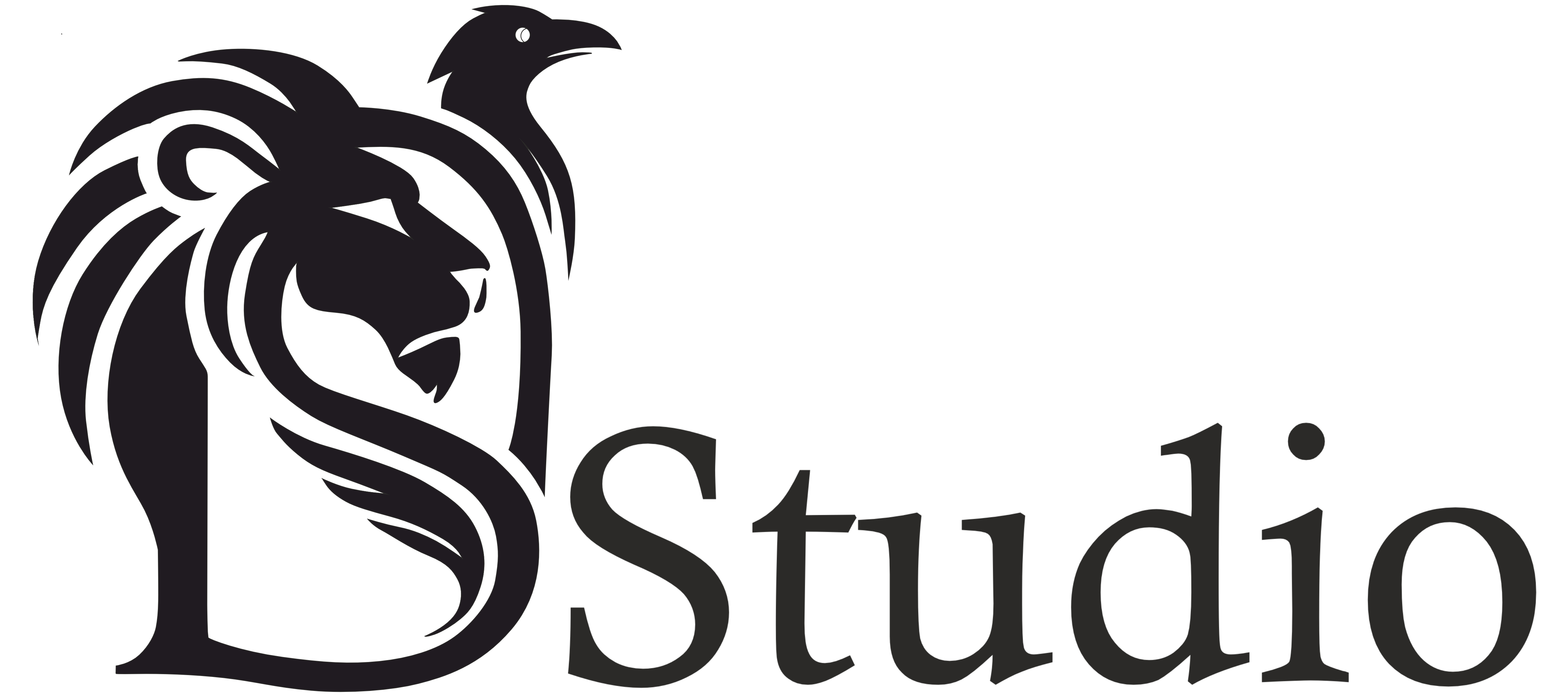 LOGO DSStudio